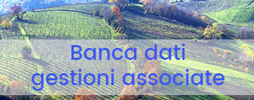 banca-dati-lato.jpg